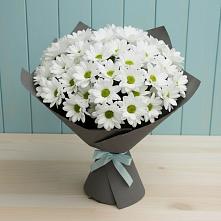 Букет цветов из:  Хризантемы в Беседино