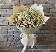 Букет цветов из:  Ромашки #REPLACE_PRED# Беседино
