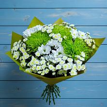 Букет цветов из:  Хризантемы #REPLACE_PRED# Беседино